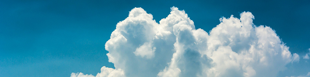 Insight Banner Image