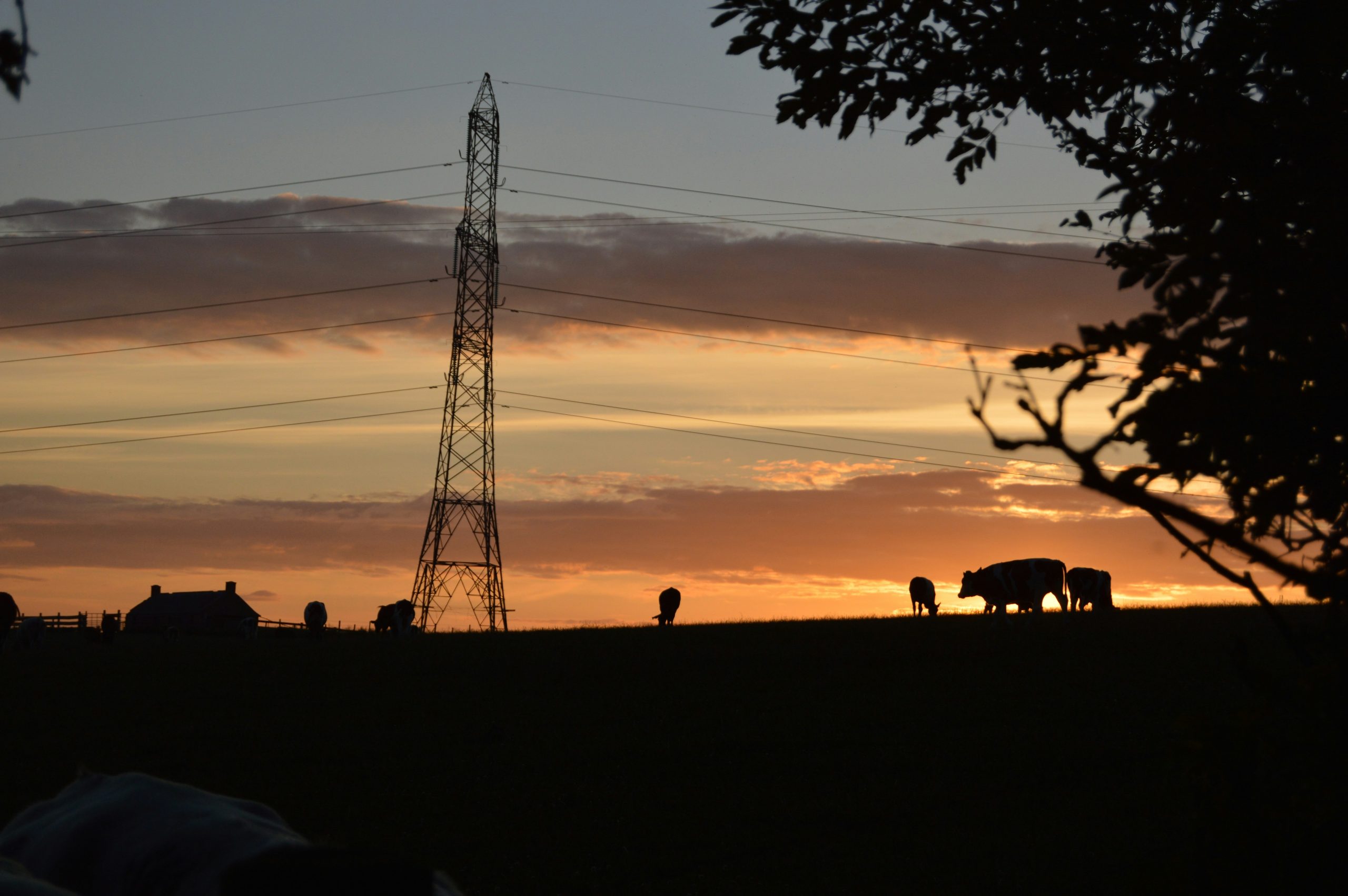 Insight Banner Image